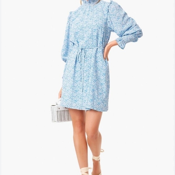 Pomander Place Balou Mini Dress. - Picture 13 of 14